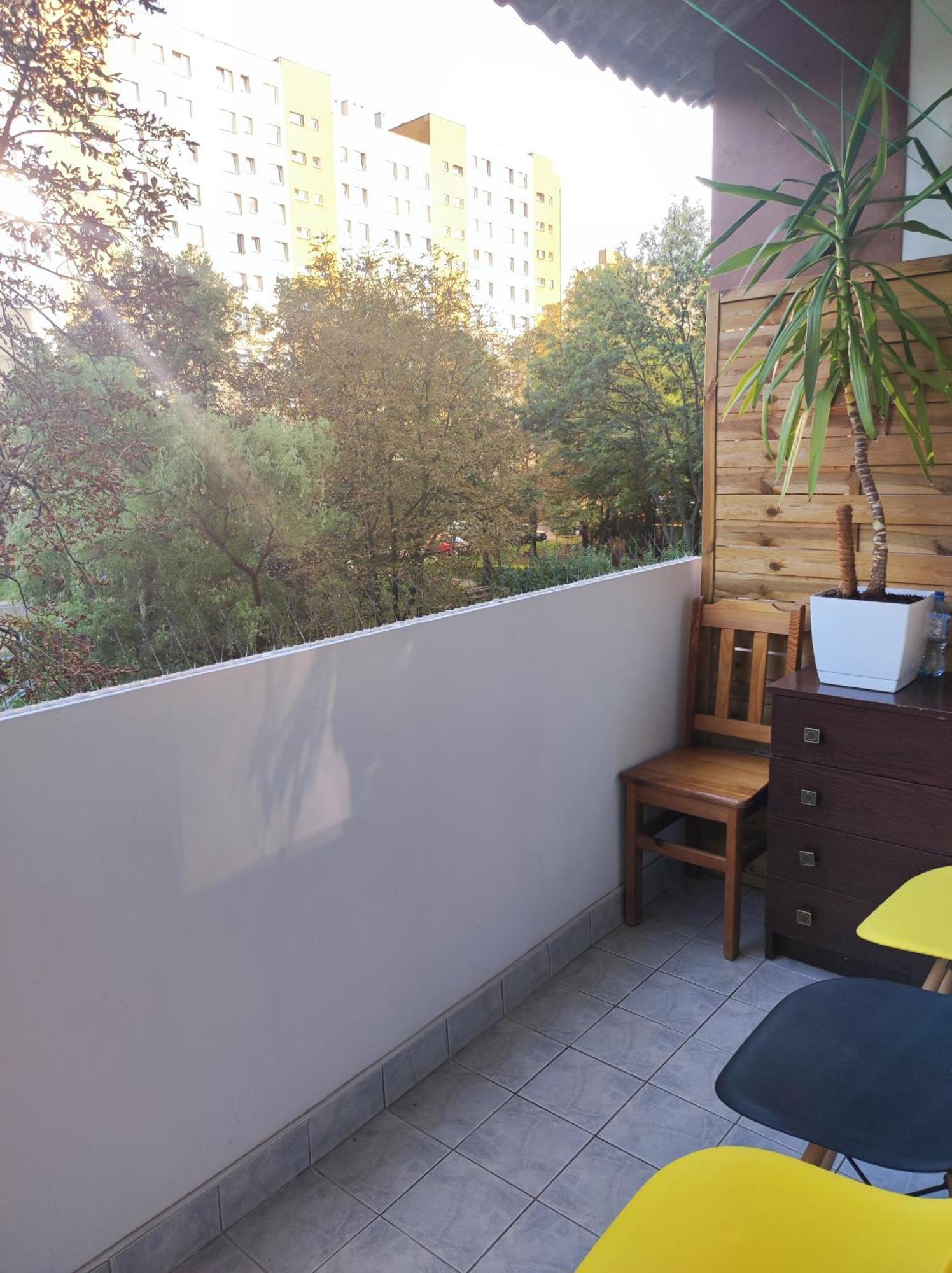 Apartament 88 크라쿠프 외부 사진
